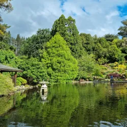 Dunedin Botanic Garden - Dunedin