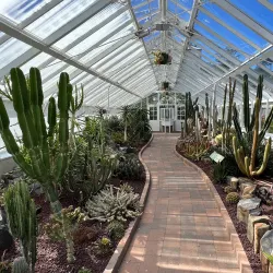 Dunedin Botanic Garden - Dunedin