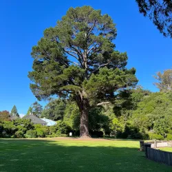 Dunedin Botanic Garden - Dunedin