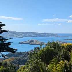 Larnach Castle - Dunedin
