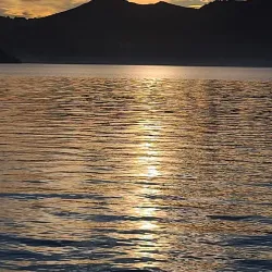 Otago Peninsula - Dunedin