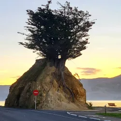 Otago Peninsula - Dunedin