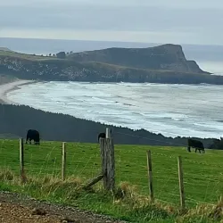 Otago Peninsula - Dunedin