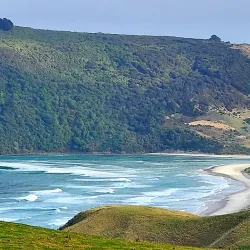 Otago Peninsula - Dunedin