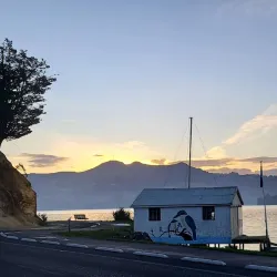 Otago Peninsula - Dunedin