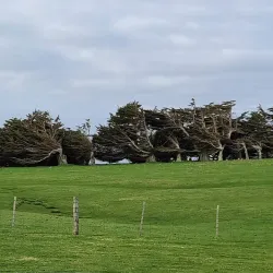 Otago Peninsula - Dunedin