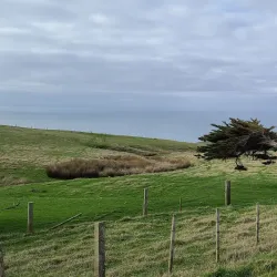 Otago Peninsula - Dunedin
