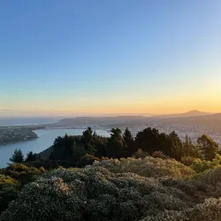 Signal Hill Lookout - Dunedin