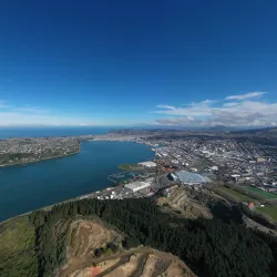 Signal Hill Lookout - Dunedin