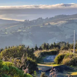 Signal Hill Lookout - Dunedin
