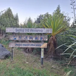 Signal Hill Lookout - Dunedin