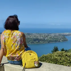 Signal Hill Lookout - Dunedin
