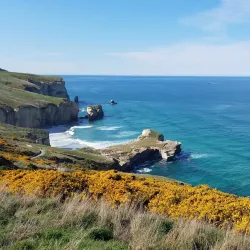 Tunnel Beach - Dunedin