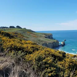 Tunnel Beach - Dunedin