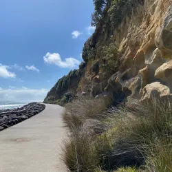 Coastal Walkways - Eltham