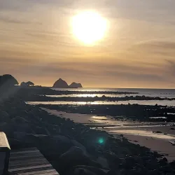 Coastal Walkways - Eltham