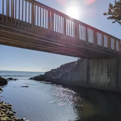 Coastal Walkways - Eltham