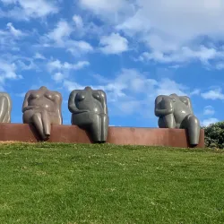 Coastal Walkways - Eltham