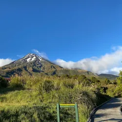 Egmont National Park - Eltham
