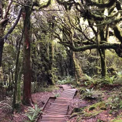 Egmont National Park - Eltham