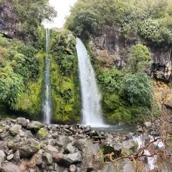 Egmont National Park - Eltham