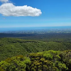Egmont National Park - Eltham