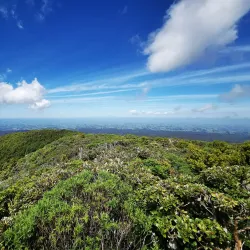 Egmont National Park - Eltham