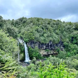 Egmont National Park - Eltham