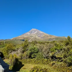 Egmont National Park - Eltham