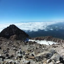 Egmont National Park - Eltham