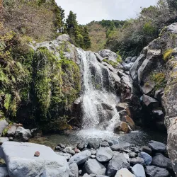 Egmont National Park - Eltham
