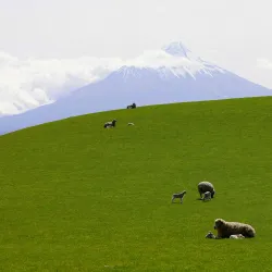 Eltham Heritage Centre - Eltham