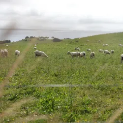 Eltham Heritage Centre - Eltham