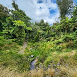Pukeiti Rhododendron Trust - Eltham