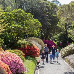 Pukeiti Rhododendron Trust - Eltham