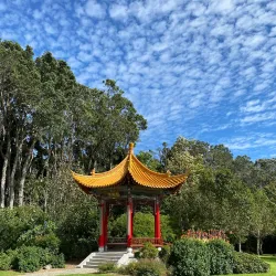 Pukekura Park - Eltham