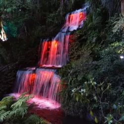 Pukekura Park - Eltham