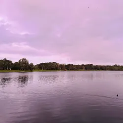 Te Rewa Rewa Bridge - Eltham