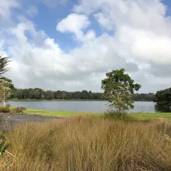 Te Rewa Rewa Bridge - Eltham