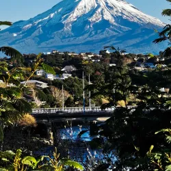 Te Rewa Rewa Bridge - Eltham