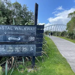 Te Rewa Rewa Bridge - Eltham