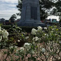 Feilding Civic Centre - Feilding