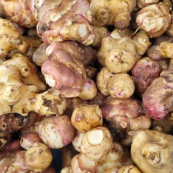 Feilding Farmers' Market - Feilding