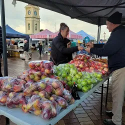 Feilding Farmers' Market - Feilding