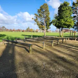 Victoria Park - Feilding