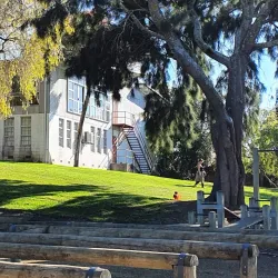 Victoria Park - Feilding