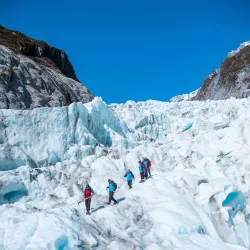 Fox Glacier - Fox Glacier
