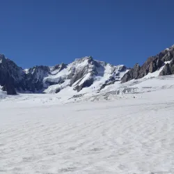 Fox Glacier - Fox Glacier