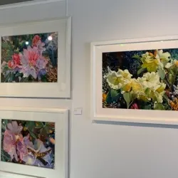 Geraldine Art Gallery - Geraldine