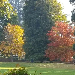 Geraldine Domain - Geraldine